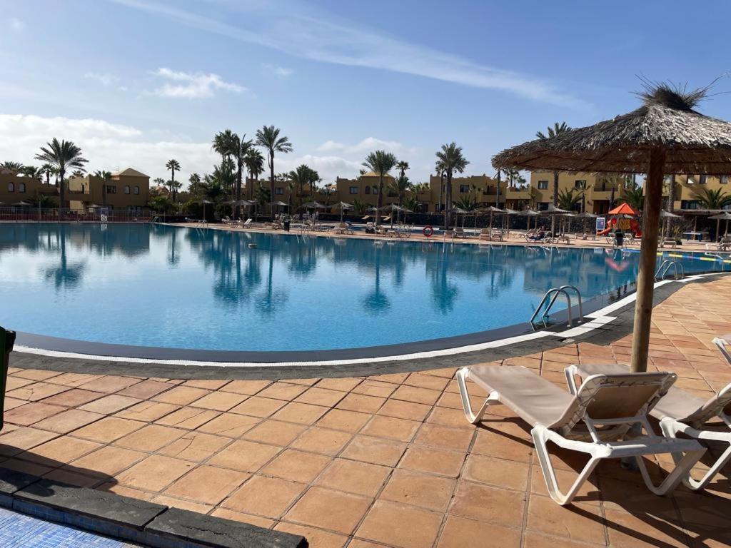 コラレホCasa Mari Y Jose Con Grandes Piscinas Y Wifi Gratisアパートメント エクステリア 写真