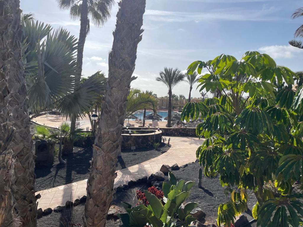コラレホCasa Mari Y Jose Con Grandes Piscinas Y Wifi Gratisアパートメント エクステリア 写真